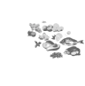 Eat the rainbow white transparent-update-3